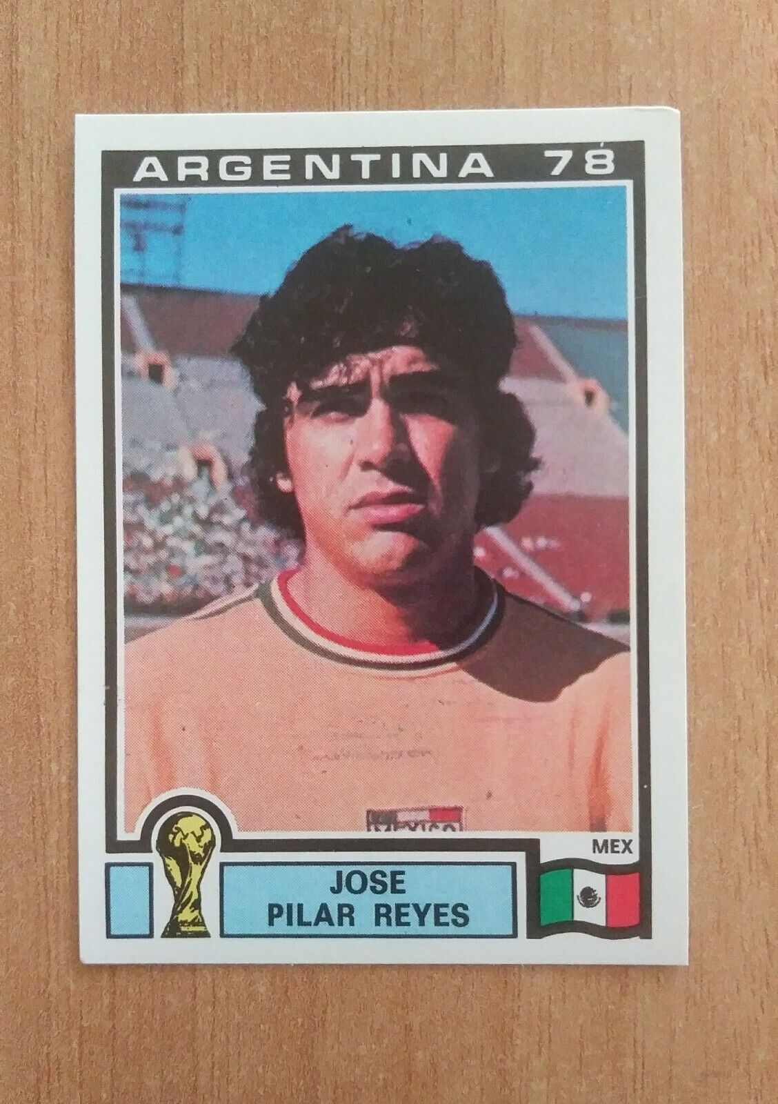 FIGURINE CALCIATORI PANINI ARGENTINA 78 (N. 1-204) SCEGLI DAL MENU A TENDINA