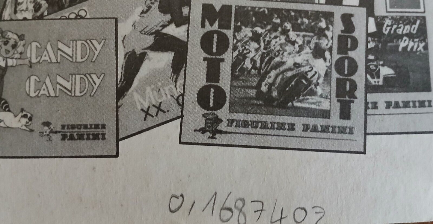 44223953