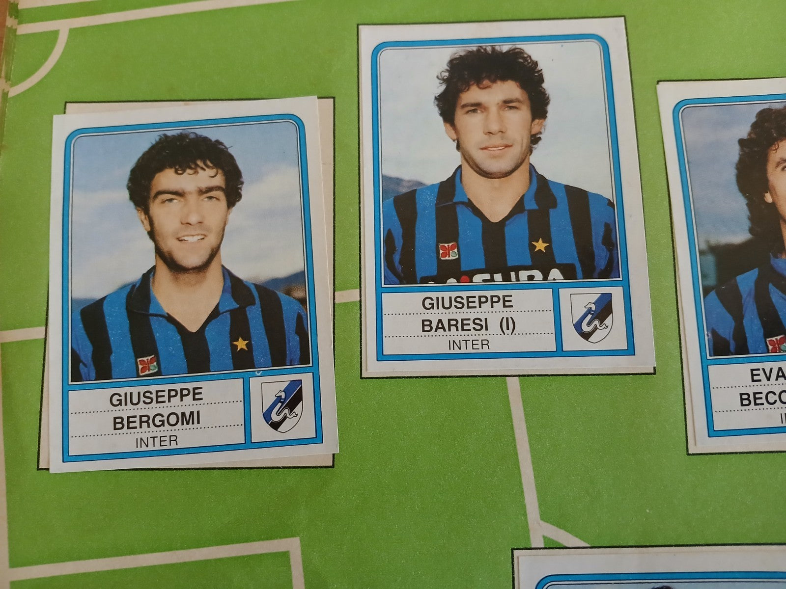 47187251