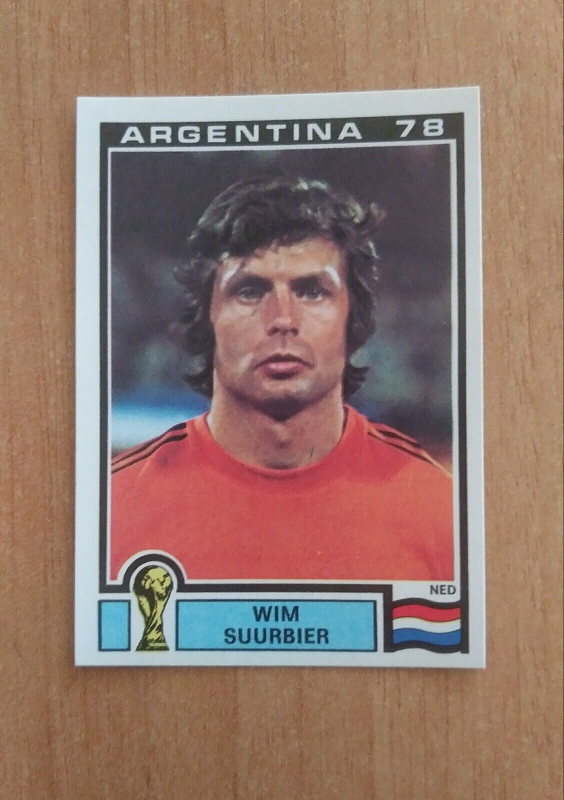 FIGURINE CALCIATORI PANINI ARGENTINA 78 (N. 205-400) SCEGLI DAL MENU A TENDINA