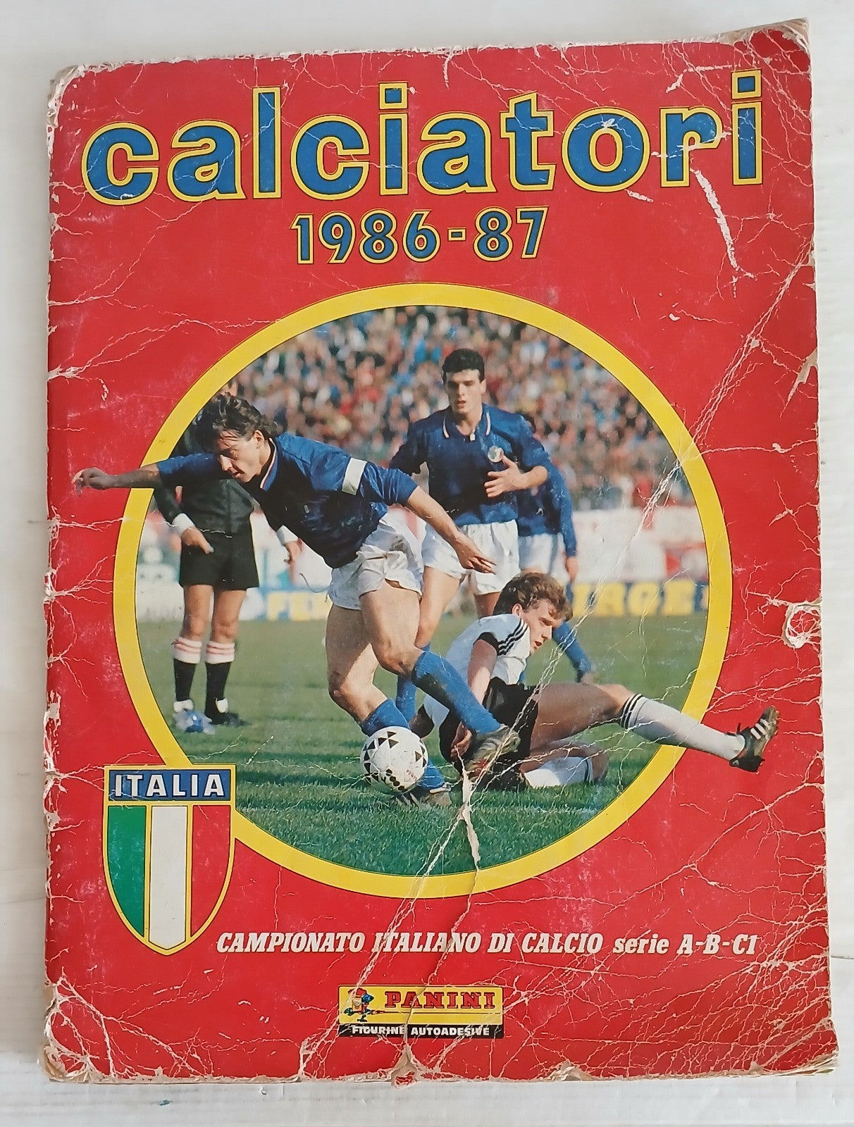 45065755