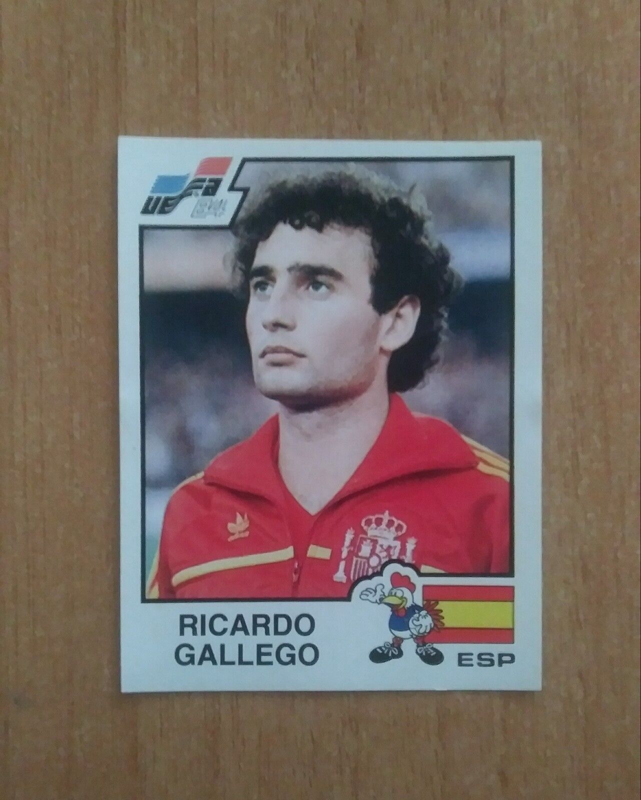 FIGURINE CALCIATORI PANINI EURO 84 (N. 126-258) SCEGLI DAL MENU A TENDINA