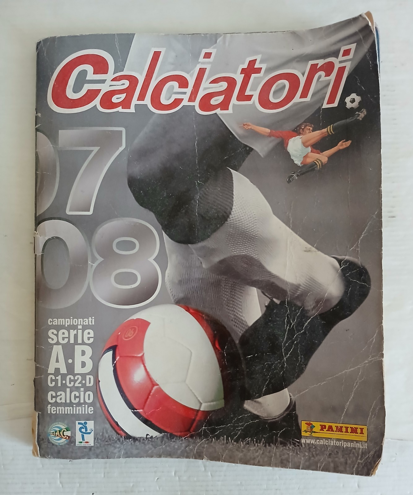 45410539