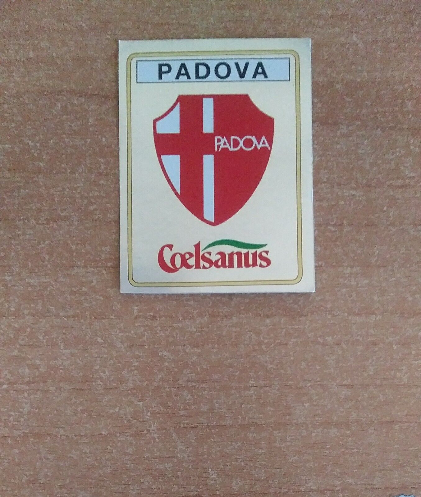 FIGURINE CALCIATORI PANINI 1988-89 (N. 361-592) SCEGLI DAL MENU A TENDINA