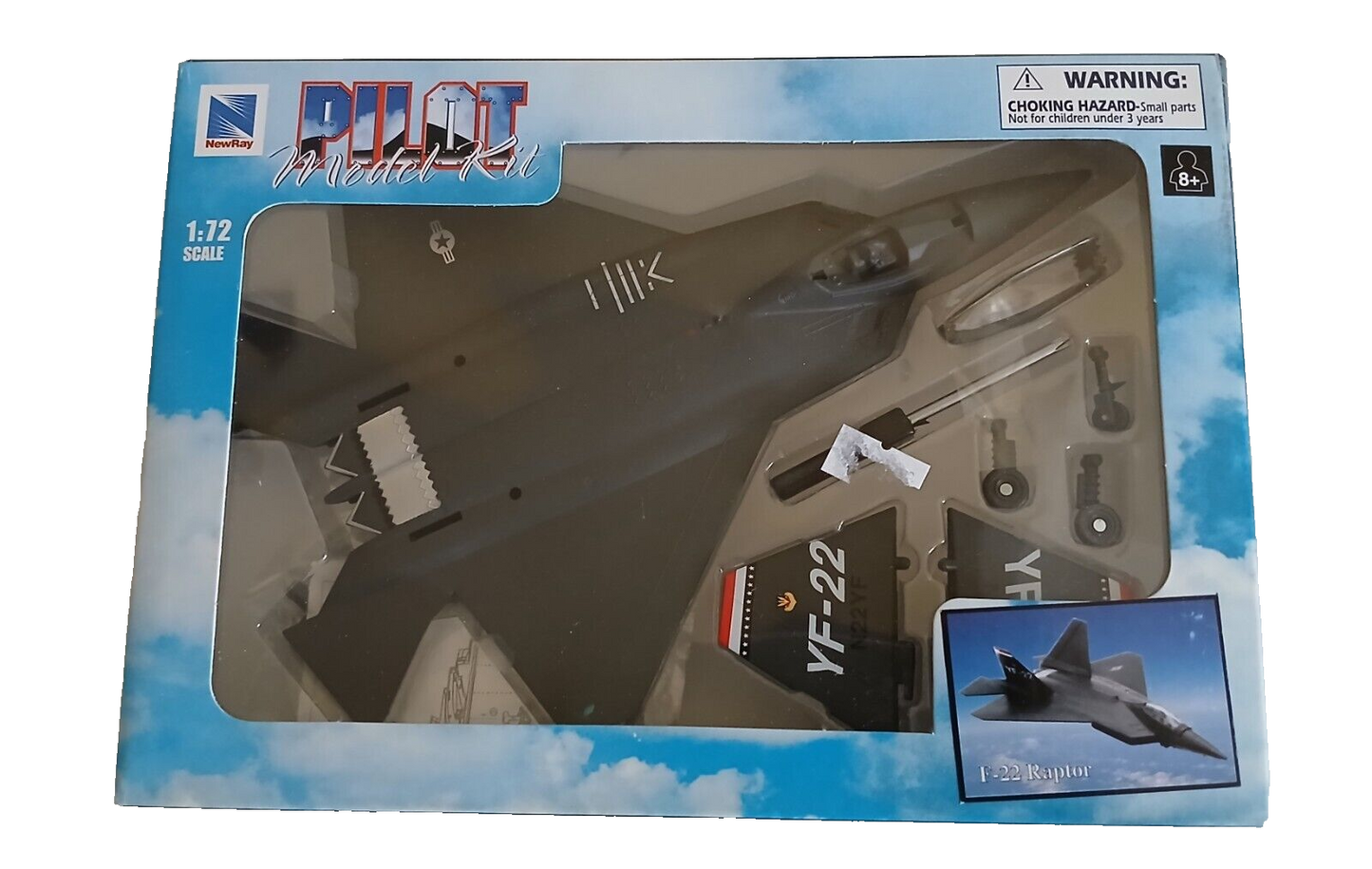 F-22 RAPTOR SKY PILOT NEW RAY SCALA 1/72