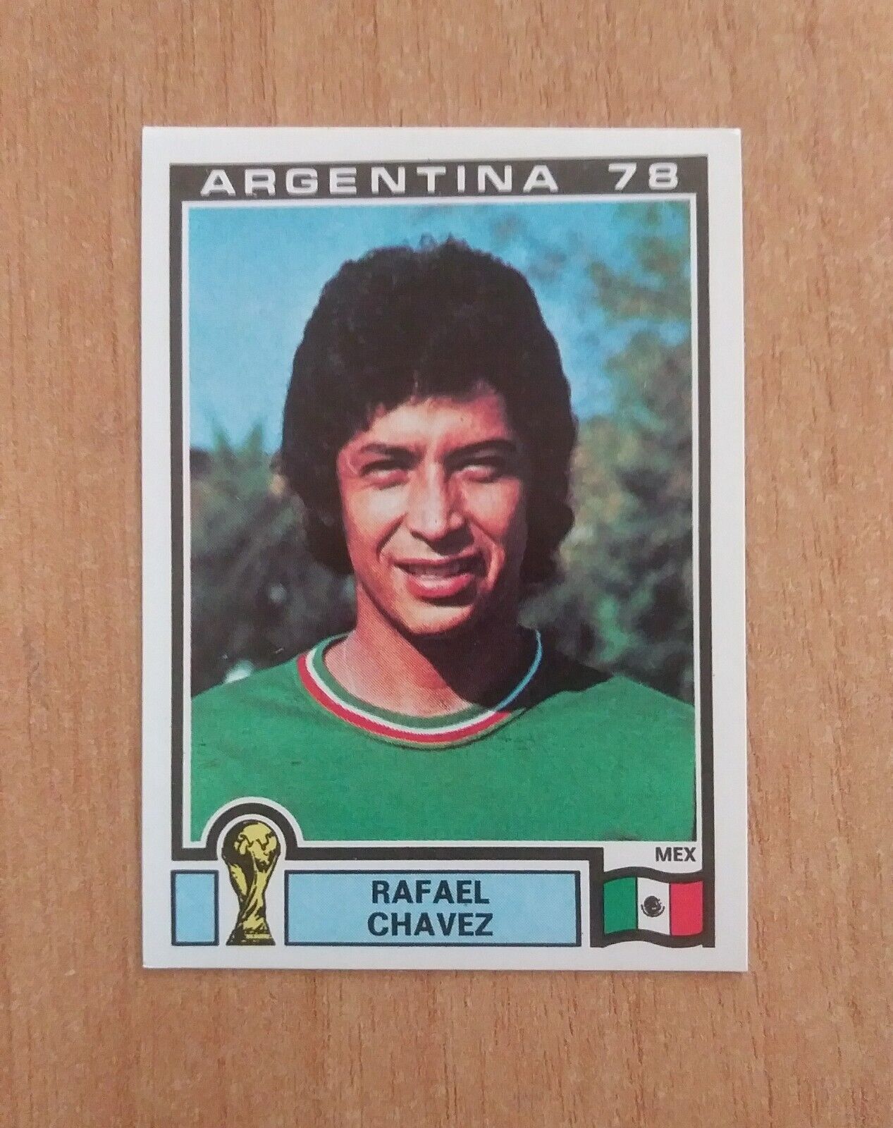 FIGURINE CALCIATORI PANINI ARGENTINA 78 (N. 1-204) SCEGLI DAL MENU A TENDINA