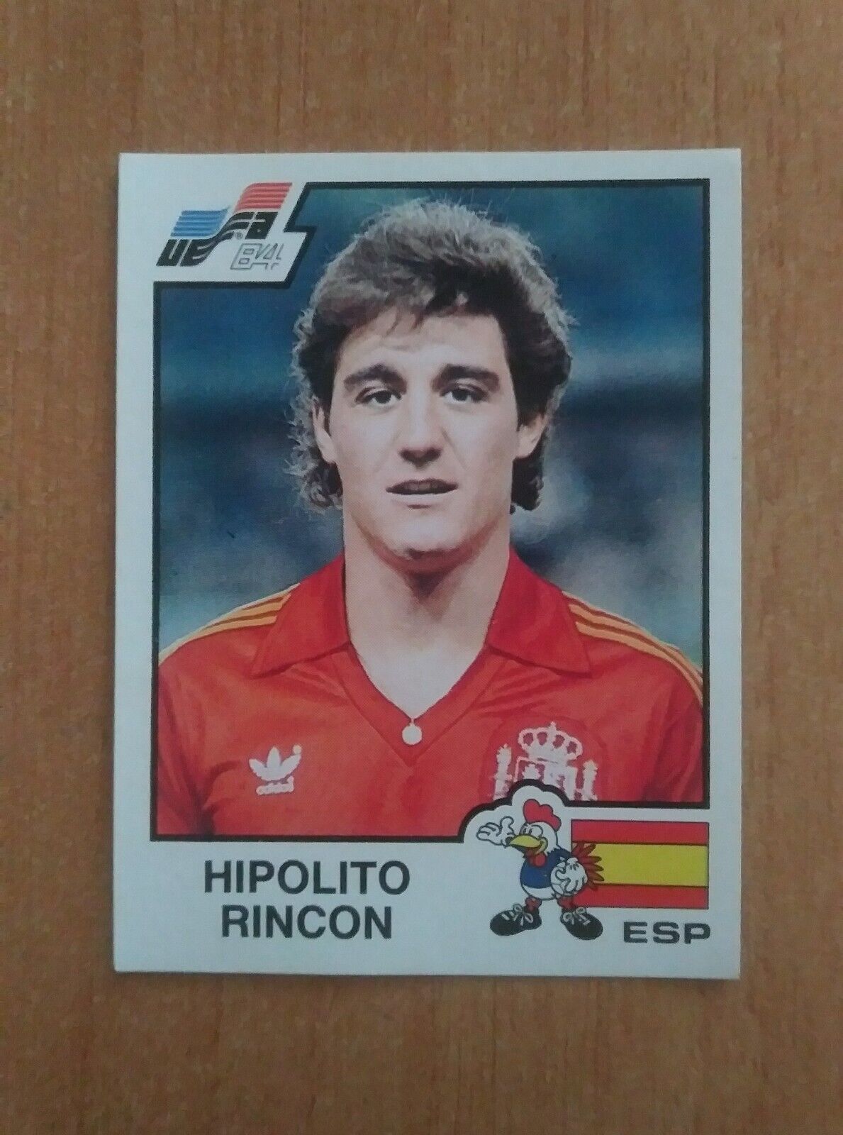 FIGURINE CALCIATORI PANINI EURO 84 (N. 126-258) SCEGLI DAL MENU A TENDINA