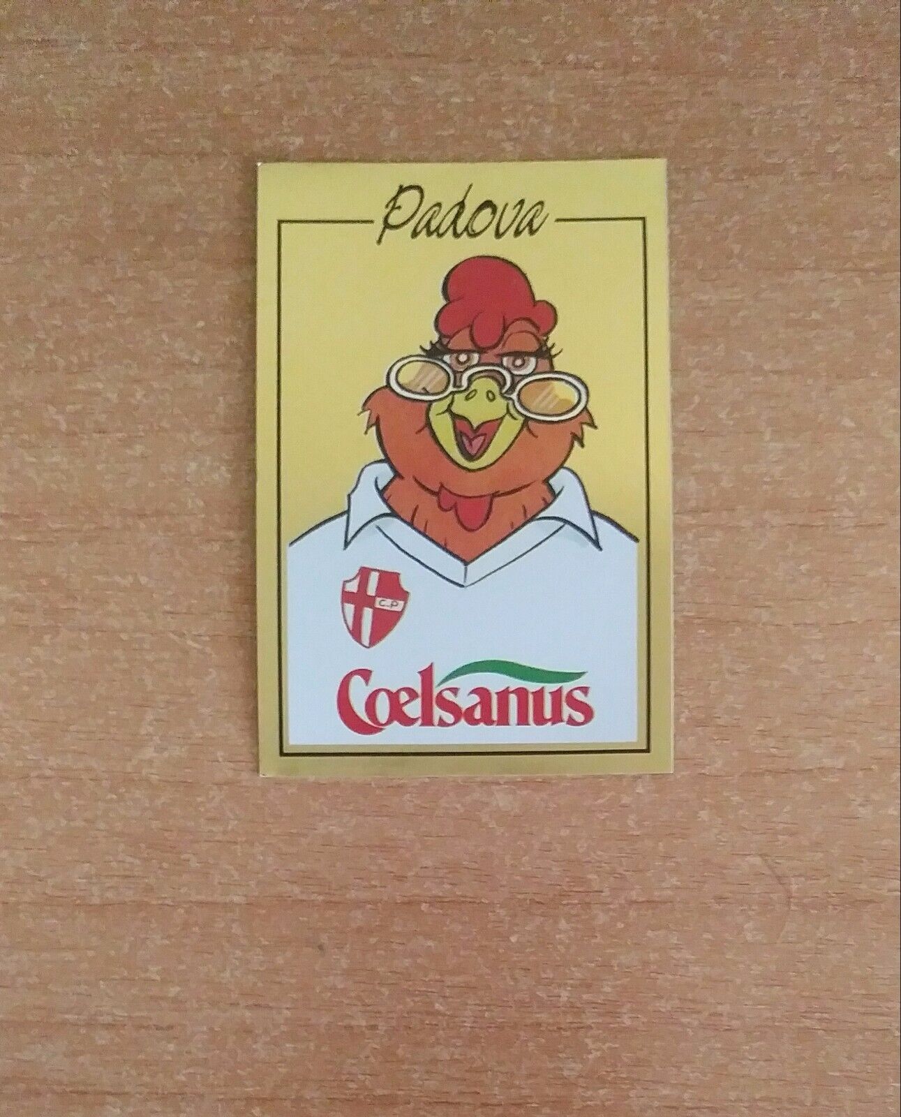 FIGURINE CALCIATORI PANINI 1987-88 (N. 307-559) SCEGLI DAL MENU A TENDINA