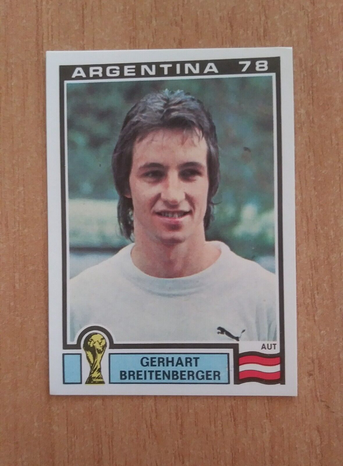 FIGURINE CALCIATORI PANINI ARGENTINA 78 (N. 1-204) SCEGLI DAL MENU A TENDINA